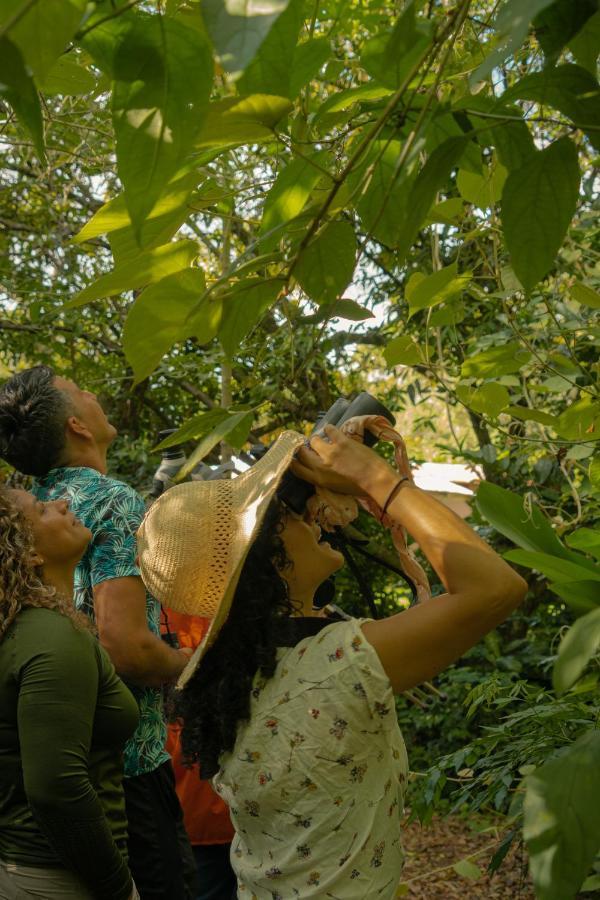 Agutipaca Bungalows Bagaces Bagian luar foto